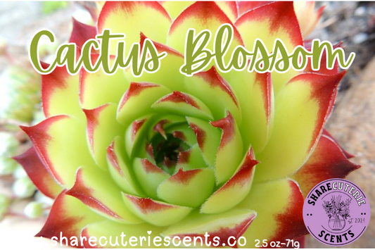Cactus Blossom Wax Melt